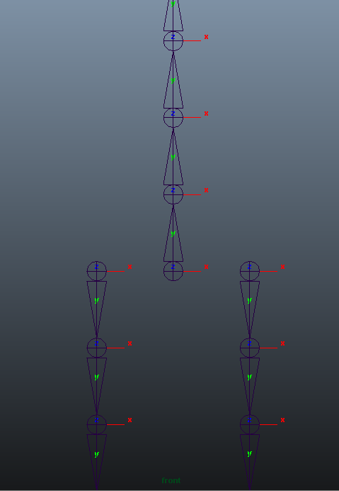 spine-legs front view